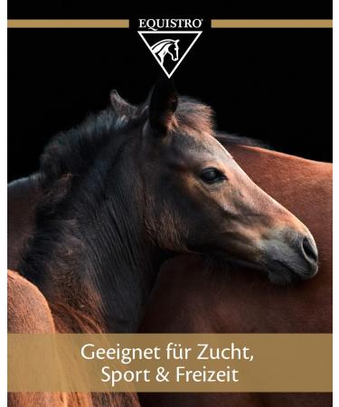 Equistro Haemolytan 400 - Vitality Support Supplement for Horses | Enhance Performance | 250ml - Buy Online on SooperMarket.com