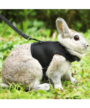 Soft Rabbit Dishes with Leash - Adjustable 2-Piece Mesh Set for Kittens & Pets | Durable & Comfortable - Buy Online on SooperMarket.com
