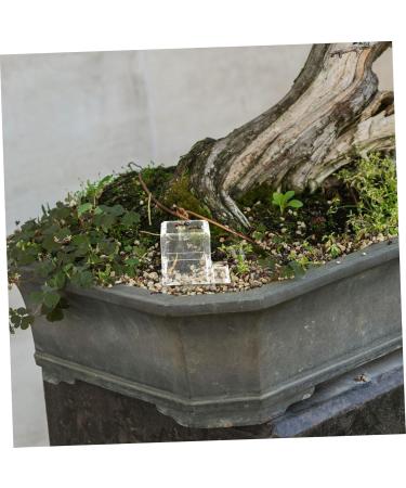 BCOATH 5pcs Pet Water Feeder Ants Habitat Water Feeding Insect Water Feeder Ants Watering Cup Plastic - Buy Online on SooperMarket.com