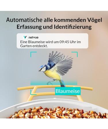 Birdfy Bird Feeder with Camera - AI Detection Video Recording & Solar Powered - Ideal for Wild Bird Feeding - Buy Online on SooperMarket.com