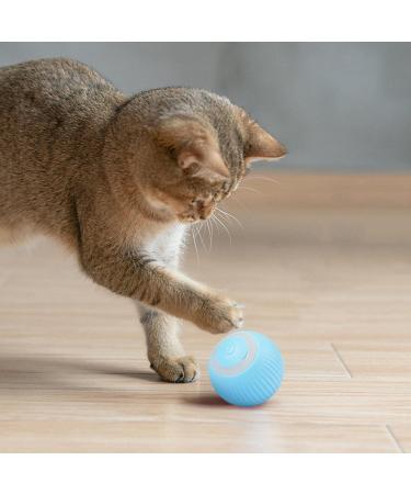 2PCs Power Ball 2.0 Cat Toy - Interactive Rotating 360 Automatic Cat Toy for Fun & Exercise | Aiveys - Buy Online on SooperMarket.com