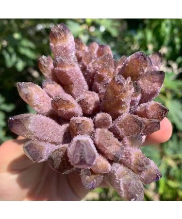 Natural Purple Amethyst Cluster Crystal Quartz Decorative Stone kaixun (Size : 500-550g) - Buy Online on SooperMarket.com