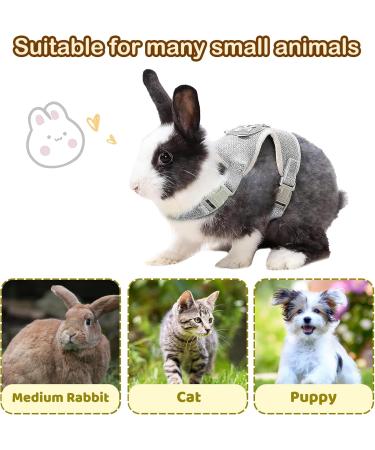 Adjustable Rabbit Dishes & Leash for Dwarf Rabbits | Soft Pet Bowls for Rabbits Cats & Small Dogs - International Shipping - Buy Online on SooperMarket.com