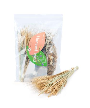 Niteangel Natural Flower & Herb Hamster Bedding Mate - Habitat Decor for Hamsters Gerbils Mice Lemming Degus or Other Small Pets Harvest Wind - Harvest Version