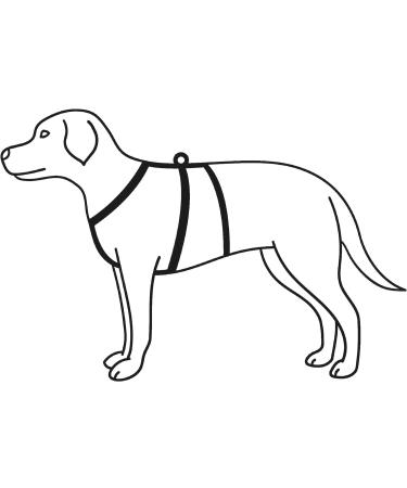 TRIXIE Stay Dog Harness - S/M Black | Comfortable & Durable Pet Safety Gear for Small to Medium Dogs | International Shipping Available - Buy Online on SooperMarket.com
