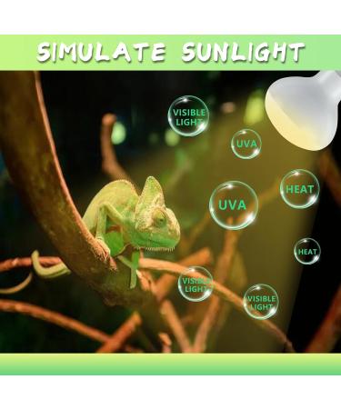 LUCKY HERP 2 Pack 100W UVA Reptile Heat Lamp Bulb Amphibian Basking Spot Light Bulb Reptile Daylight Bulb for Turtle Bearded Dragon Lizard Heating Use 100W(2 Pack) - Buy Online on SooperMarket.com