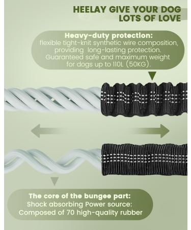 Premium Jogging Lines for Dogs - Dual Handle Leash with Belly Belt & Reflective Seams | Perfect for Medium & Large Breeds - Buy Online on SooperMarket.com