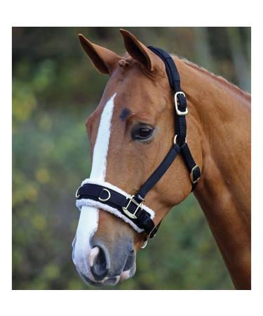 White Horse Equestrian Training Fleece Lined Padded Adjustable Lunging Cavesson
