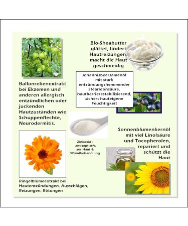 Organic Marigold Ointment | Cristinenmoor Marigold Cream | Certified Natural Cosmetics for Dry & Inflamed Skin | 110ml - Buy Online on SooperMarket.com