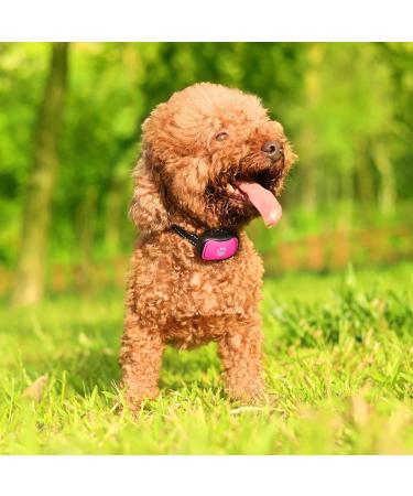Small Dog Bark Collar - Adjustable Anti-Barking Device with Beep and Vibration - Humane Deterrent for Small to Medium Dogs - Pink - Buy Online on SooperMarket.com