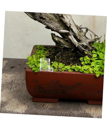Hohopeti Pet Water Feeder Ants Feeding Bowl Insect Water Feeder Transparent Ants Feeding Cup Plastic - Buy Online on SooperMarket.com