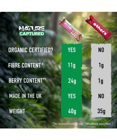 New: Organic Super Berries Bar (10 Pack) - Raw & Wholefood Prebiotic Superfood Snack Bars - High Vitamin C - High in Fibre - Vegan Gluten Free Natural Plant Sugar Paleo No Additives - Buy Online on SooperMarket.com
