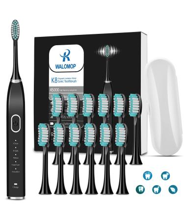 Electric Toothbrush, Sonicare Electric Toothbrush 12 Duponts Brush Heads, Cleaning 15 Modes with Case,4 Hours Charging for 60 Days use for Whitening Cleaning for Adult Kids