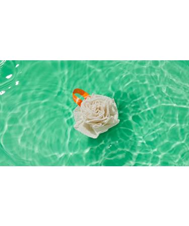 Sustainable Exfoliating Loofa Pouf 3-Pack - Extra Firm Bath and Shower Puff for Daily Skincare - Reusable for Women & Men | Cleanlogic - Buy Online on SooperMarket.com