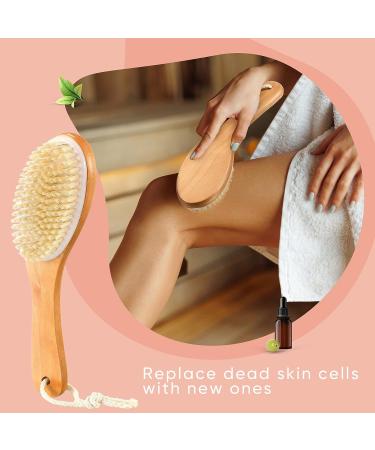 2-Piece Natural Boar Bristle Body Brush Set for Dry Skin Exfoliation - Buy Online on SooperMarket.com