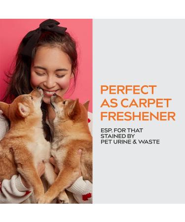 Dynamic Element Pet Odour Eliminator Spray - 9 Fl Oz - Mineral Formula for Strong Odours - Carpet Smell Freshener - Unscented Remover for Dog & Cat Urine on Carpet - Buy Online on SooperMarket.com