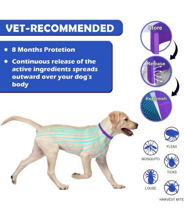 Flea Collar for Dogs 2-Pack Purple | 8 Months Protection | Prevent, Control, & Treat Fleas and Ticks | Adjustable 25 Inch | Free Comb Included - Buy Online on SooperMarket.com
