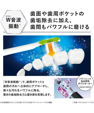 Panasonic EW-DP56 Doltz High Grade Bluetooth Electric Toothbrush (Silver) | 2022 Model | Japan Import - Buy Online on SooperMarket.com