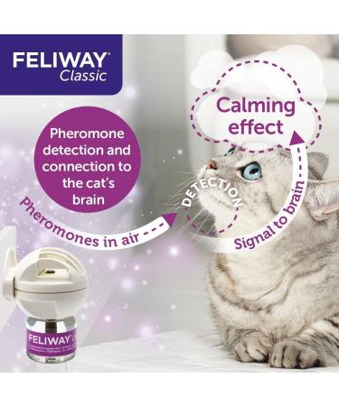 Feliway Classic 20 ml Spray with Classic 30 Day Starter Kit - Diffuser and Refill 48 ml - Buy Online on SooperMarket.com