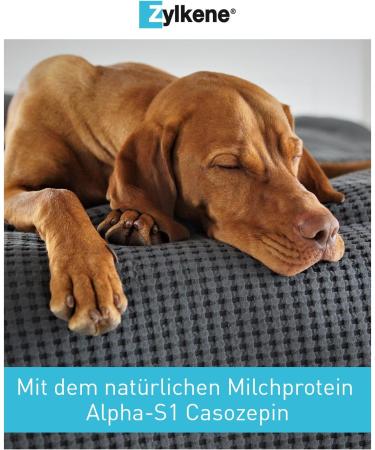 Buy Zylkene 450mg for Dogs & Cats - 50 Capsules | Calming Supplement for Stress Relief - International Shipping Available - Buy Online on SooperMarket.com