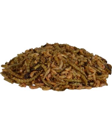 Supa Dried Mealworm Fruit & Honey Cocktail Mix for Wild Birds 3 Litre Bucket - High Energy Protein Rich Treat for Garden Birds - Attract More Birds with Quality Wild Bird Food - Buy Online on SooperMarket.com