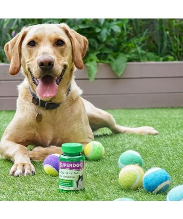 Vitabiotics Superdog Health and Vitality | Comprehensive Supplement For Dogs with Linseed Oil Ginseng & Vitamins A C D & E | From UK's No.1 Vitamin Company - Buy Online on SooperMarket.com