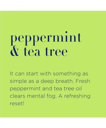 Organic Plant-Based Peppermint & Tea Tree Hand Soap 12oz (Pack of 3) | Gentle Cleanser with Pure Essential Oils - Buy Online on SooperMarket.com