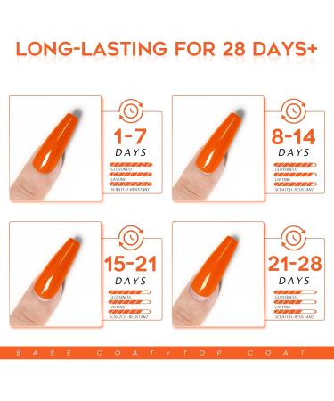 Modelones Matte Gel Top Coat Set - No Wipe, Soak Off Varnish 3x10ml - High Gloss Shiny & Matte Effects - LED Lamp Required - Nail Polish Base & Top Coat - Buy Online on SooperMarket.com
