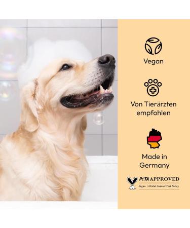 Belly Golden Oat Dog Shampoo 250ml | Sensitive Formula for Itching & Odor | Optimal Care for All Dog Breeds with Oat Protein & Shea Butter - Buy Online on SooperMarket.com