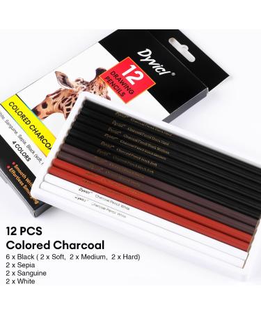 Dyvicl Charcoal Pencils Drawing Set - 12 Pieces for Drawing, Sketching, Shading, Blending - Ideal for Beginners and Artists - Buy Online on SooperMarket.com