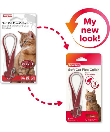 Beaphar Soft Flea Collar for Cats Kills Fleas For up to 4 Months Veterinary Medicine Adjustable With Safety Mechanism For Cats From 12 Weeks of Age 1 x Velvet Collar Colours May Vary - Buy Online on SooperMarket.com