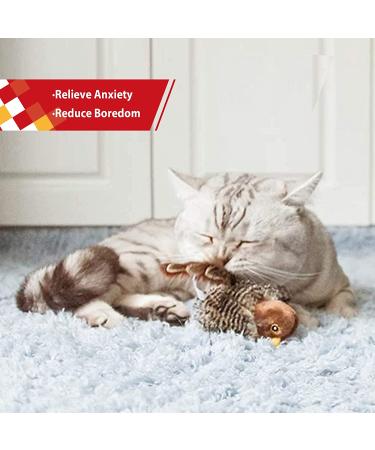 Gigwi Interactive Cat Toys: Squeaking Melody Chaser for Solo Play - Fun and Stimulating Kitten Toy for Boredom Birds - Buy Online on SooperMarket.com