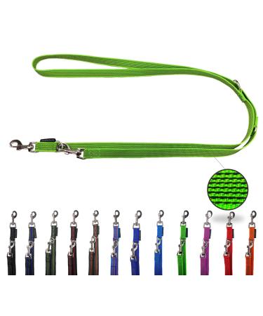 Dog linen adjustable / double -lined for medium and large dogs / 2m / 2.40m / 2.80m / 3.50m / 5m (neon green 2m) 2m neon green