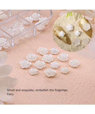 Nail Charms Nail Art Decorations 2 Boxes Nail Art Decorations Delicate Compact White Rose Camellia Nail Art Rhinestones for Girls - Buy Online on SooperMarket.com