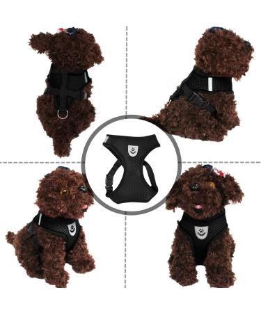 Buy Nizirioo Cat Harness & 2 Safe Cat Dishes - Stylish Black Set for Small Medium Pets - Buy Online on SooperMarket.com