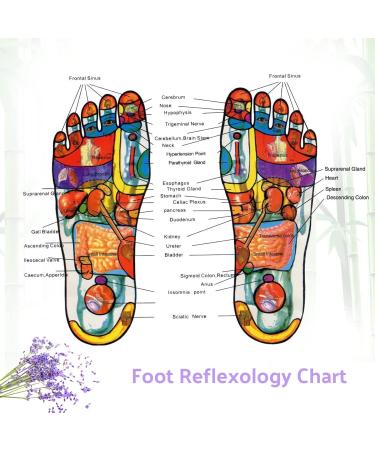 Aromatic Herbal Feet Patch Detox Foot Patches with Easy to Use Breathable Environmental Protection for Sleeping Anti-Stress Relief(100 pcs) - Buy Online on SooperMarket.com