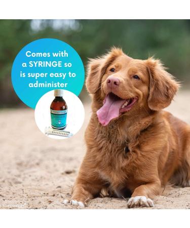 PupRepublic Fast Acting dog diarrhea treatment - Digestive Disorders - More Effective than Kaolin - Sickness & Allergy Relief for Dogs of All Breeds & Sizes 250 ml (Pack of 1) - Buy Online on SooperMarket.com