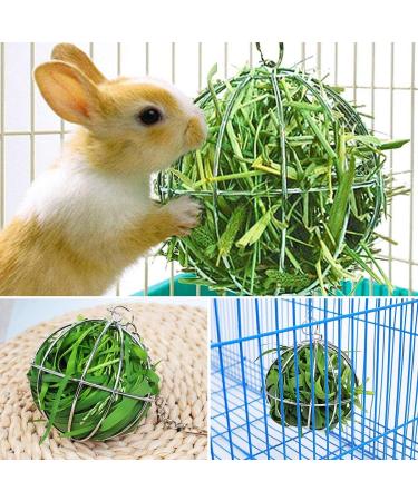 Esteopt Stainless Steel Feeder Ball Set for Guinea Pigs Hamsters & Rabbits - Durable Rodent Toy 2 Pieces Hay Ball for Small Animals - Buy Online on SooperMarket.com
