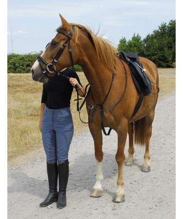 Windsor Equestrian Leather Running Martingale (Full Havana)