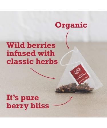 Joe's Tea Co. Organic Berry Best Fruit Tea (45 Tea Bags) - Delicious Berry Infusion - Buy Online on SooperMarket.com