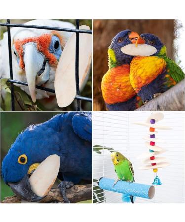 5pcs Small Cuttlefish Bone for Parrots | Natural Calcium Chew Toy for Birds - Buy Online on SooperMarket.com