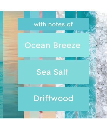 Glade PlugIns Refills Air Freshener - Sky & Sea Salt Scented Essential Oils - 1.34 Fl Oz (2 Count) - Buy Online on SooperMarket.com