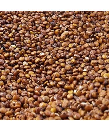 Organic Quinoa Red Peru 500g