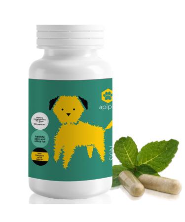 ApiPet Skin - Bee Pollen Propolis & Biotin Supplement for Dogs - Supports Healthy Skin & Soft Shiny Coats - Itchy Allergy Relief - Vitamin Rich Pet Formula for Immune System Support (120 Capsules)