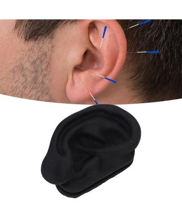 Silicone Ear Model with Display Stand for Acupuncture Practice and Earring Display - Buy Online on SooperMarket.com