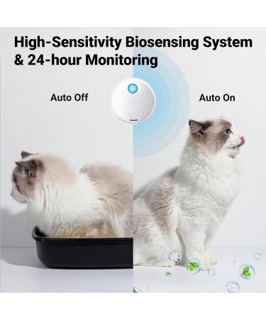 Cat Litter Deodorizer Pet Odour Remover 99% Deodorization Litter Box Odor Eliminator for Small Animals Toilet or Home Cat Urine Smell Remover Litter Trays Freshener Travel Air Purifiers A06 - Buy Online on SooperMarket.com