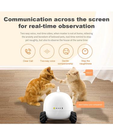 obexx Smart Pet Camera  Smart Companion Robot for Pets  Dog Treat Dispenser  Movable 1080P Full HD WiFi pet Camera Night Vision  2way Video via Smart Phone App (2.4G WiFi ONLY) White - Buy Online on SooperMarket.com