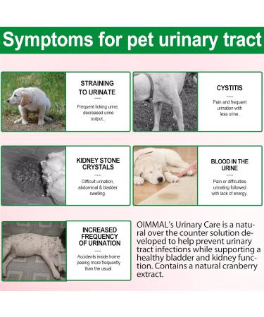 Dog Urinary Tract Infection Treatment Drops with Cranberry Extract - Supports Bladder, Kidney Stone Prevention & UTI - Bacon Flavor - 60ml - Buy Online on SooperMarket.com