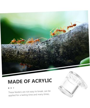 POPETPOP 4pcs Ant Water Feeder Pet Supplies Ant Habitat Science Acrylic Ants Feeders Little Ant Feed Water - Buy Online on SooperMarket.com