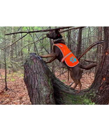 SafetyPUP XD - Reflective Dog Vest | Hi-Visibility Blaze Orange Vest for Medium Dogs | Protect Your Pup from Accidents - Buy Online on SooperMarket.com